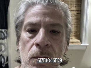 Gizmo46n29