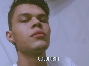 Goldrobin