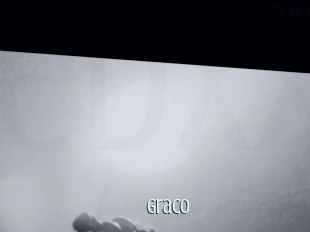 graco Edonkey xxx