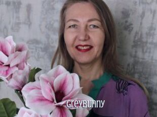 Greybunny