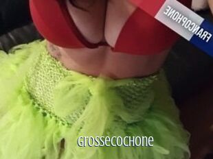 Grossecochone
