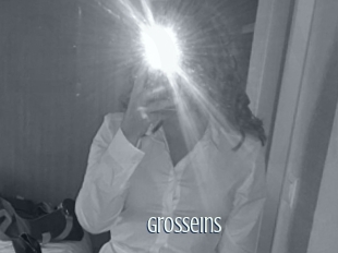 Grosseins