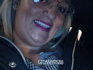 Grosseins88