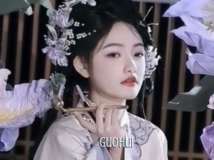 Guohui