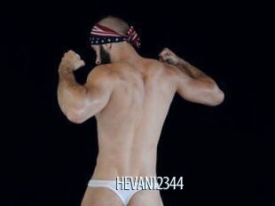 HEVAN12344