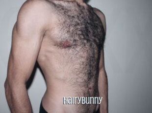 HairyBunny