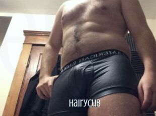 HairyCub