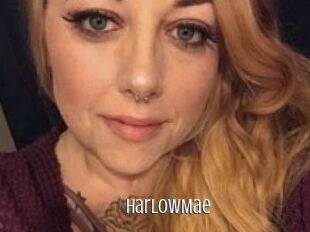Harlow_Mae