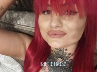 HarrietRose Edonkey xxx