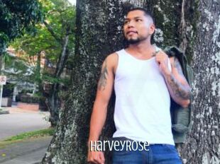 HarveyRose