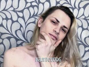 HauntedDog Edonkey xxx