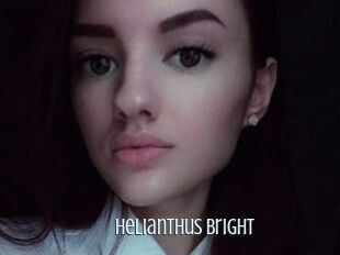 Helianthus_Bright