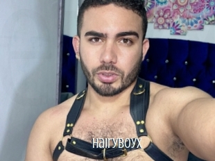 Hairyboyx