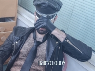 Hairycloudy