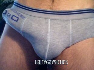 Hairygay9iches