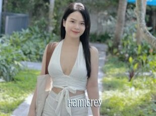 Hamigrey