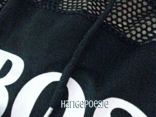 Harigepoesje