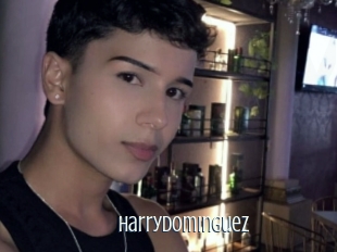 Harrydominguez