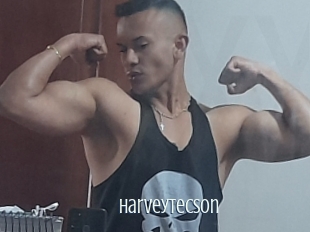 Harveytecson