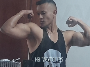 harveytorres Edonkey xxx