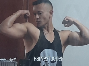 Harveytuquer