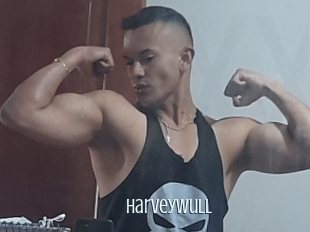 Harveywull
