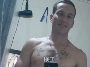 Hect