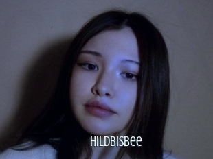 Hildbisbee