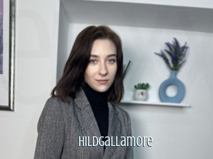 Hildgallamore