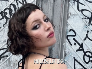 Hollisaldridge