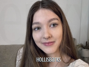 Hollisbarks