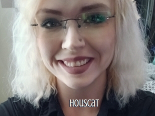 Houscat