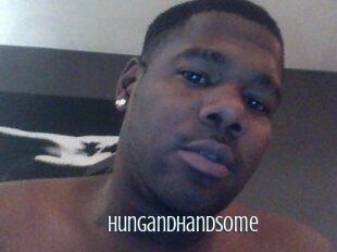 Hungandhandsome