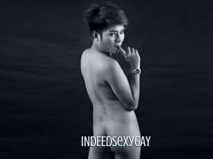 INDEEDsexyGAY