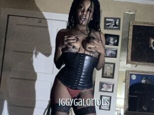 IggyGalorious