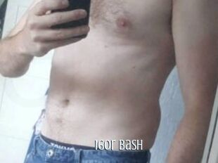 Igor_bash