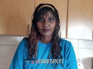 Indianspice7