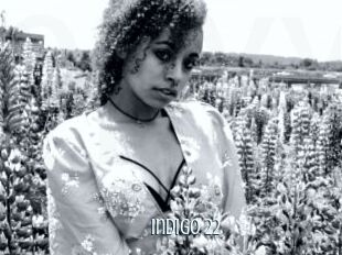 Indigo_22
