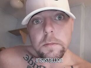 Irishstallion