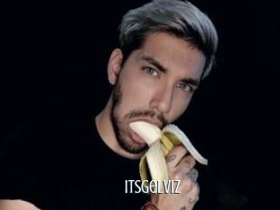 Itsgelviz