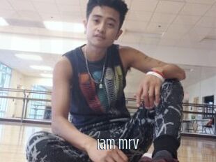 Iam_mrv