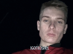 Igorkoshel