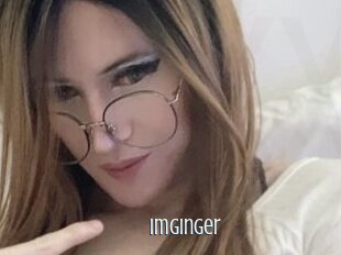 Imginger