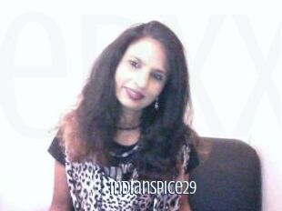 Indianspice29
