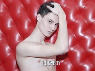 JoeyB0Y