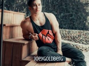 JoeyGoldberg