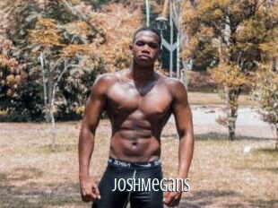 JoshMegans