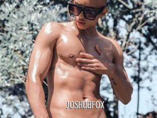 JoshuaFox