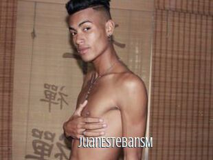 JuanEstebanSM