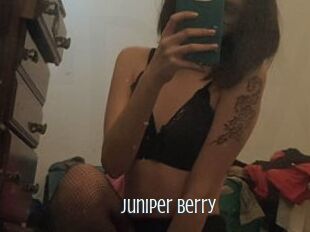 Juniper_Berry